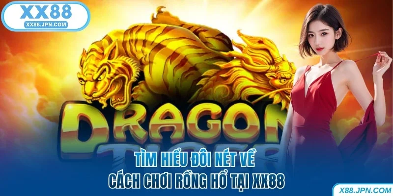 Cách Chơi Rồng Hổ Bách Chiến Bách Thắng Dành Cho Tân Binh 5 Tìm hiểu đôi nét về cách chơi Rồng Hổ XX88